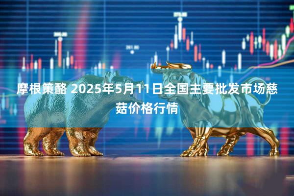 摩根策酪 2025年5月11日全国主要批发市场慈菇价格行情