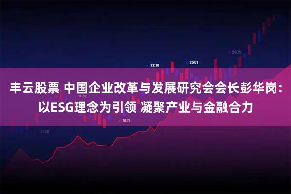 丰云股票 中国企业改革与发展研究会会长彭华岗:以ESG理念为引领 凝聚产业与金融合力