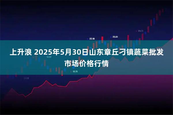 上升浪 2025年5月30日山东章丘刁镇蔬菜批发市场价格行情