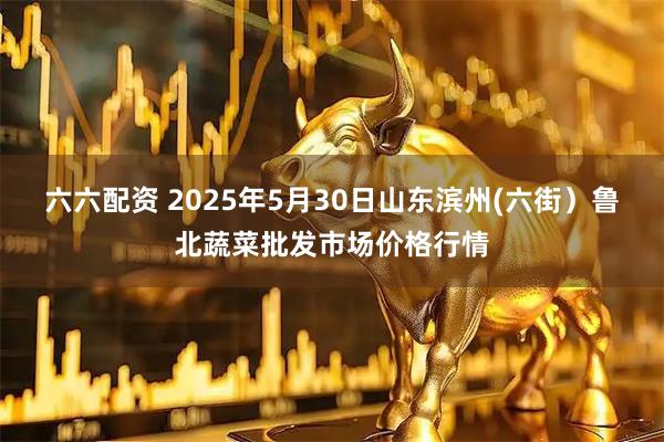 六六配资 2025年5月30日山东滨州(六街）鲁北蔬菜批发市场价格行情
