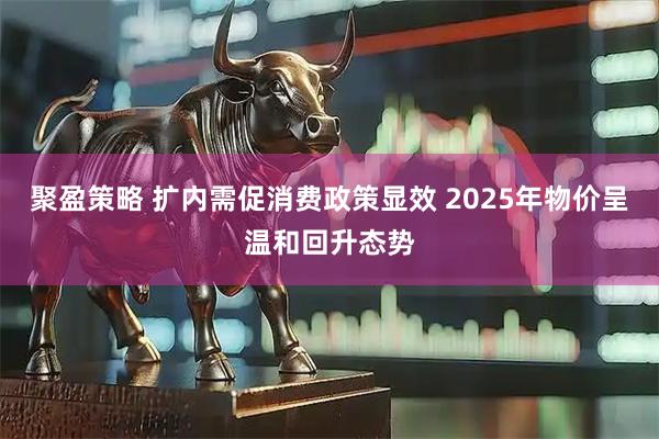 聚盈策略 扩内需促消费政策显效 2025年物价呈温和回升态势