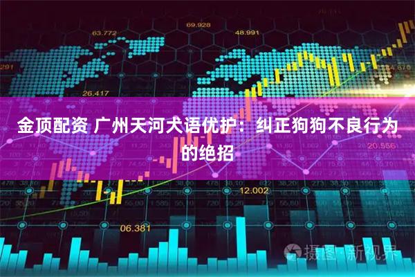 金顶配资 广州天河犬语优护：纠正狗狗不良行为的绝招